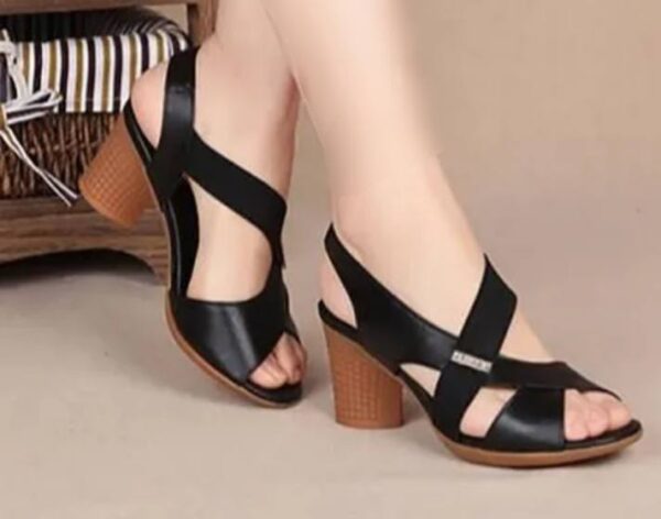 Ladies Shoe
