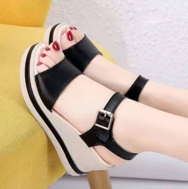 Ladies Shoe