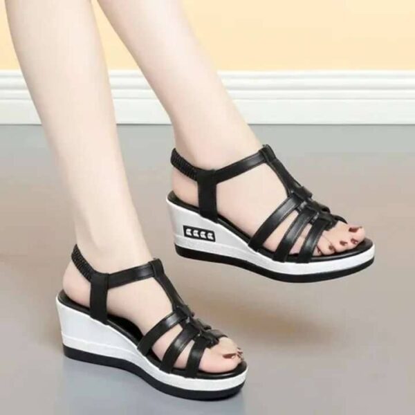 Ladies Shoe